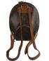 Ellipse Backpack, back view